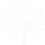 DDOS网页端源码